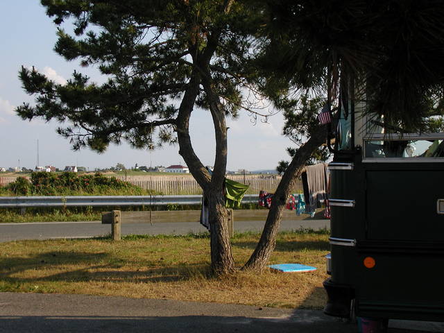 bus at salisbury beach state park site B50