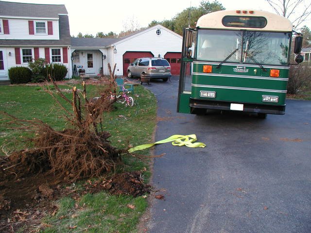 Stump pulling with a school bus!